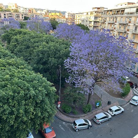 La Maison Blanche 卡塔尼亚 外观 照片