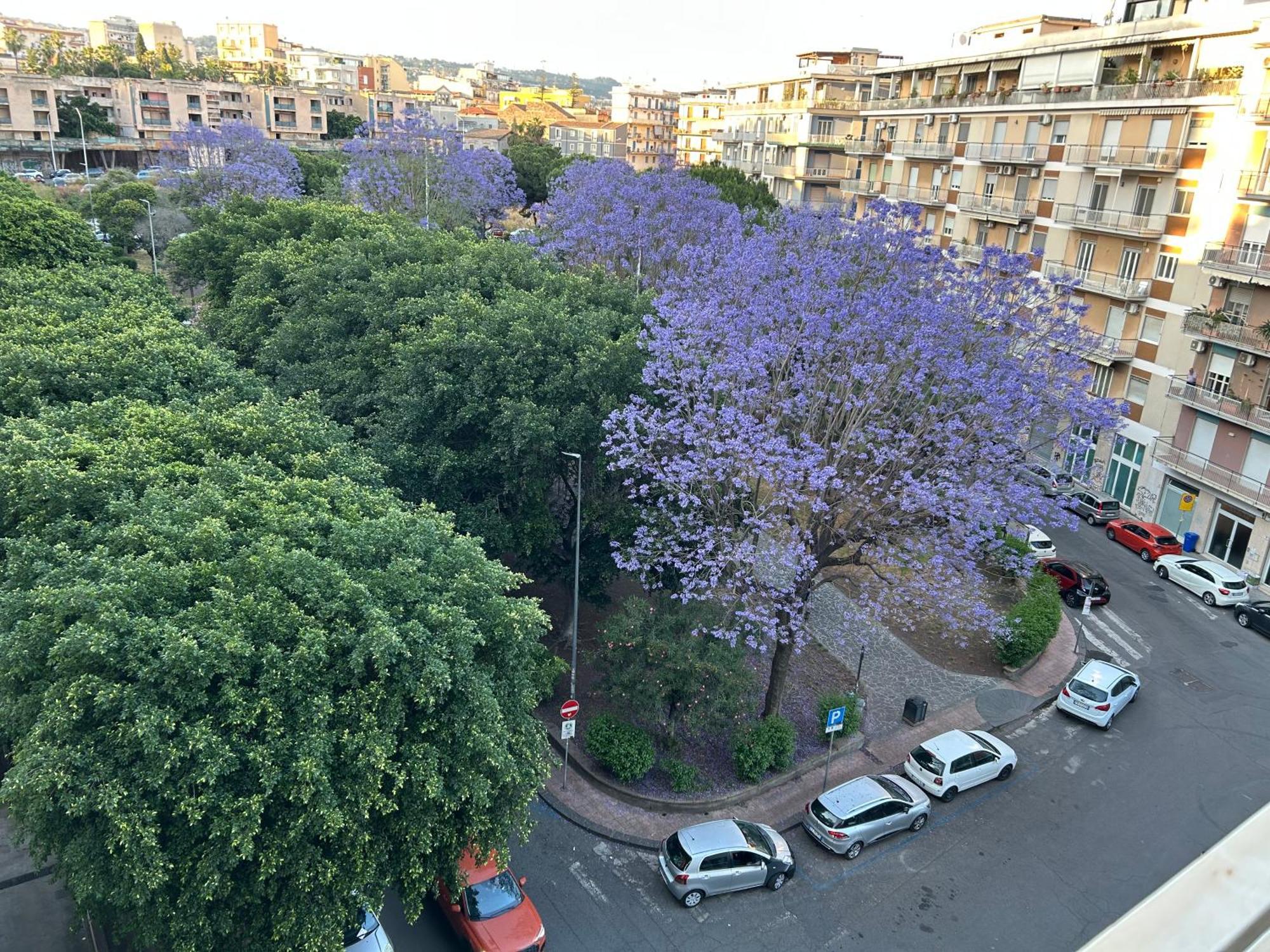 La Maison Blanche 卡塔尼亚 外观 照片